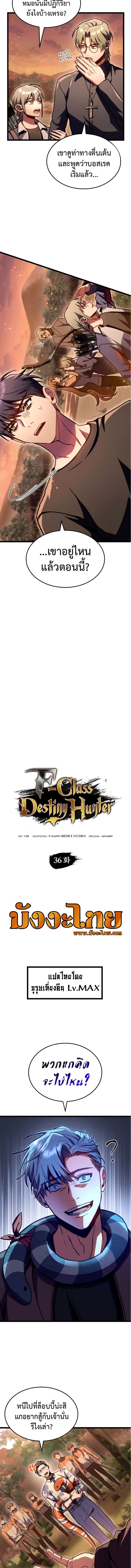 F Class Destiny Hunter 36 02